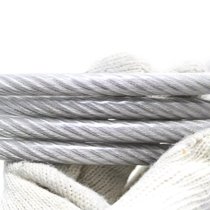 Nylon gecoate draadkabel 7 * 7 - Stainless Wire Ss316 recensie en prijs